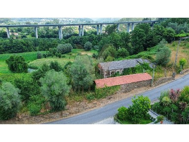 Herdade à venda em Souto Rebordões
