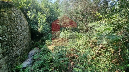 Paredes de Coura, Viana do Castelo