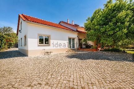 Aljubarrota, Rua de Alcobaça