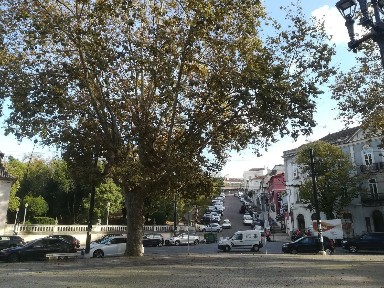 Bar, discoteca para trespasse na Alta - Praça da República