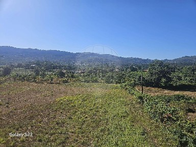 Vila Verde, Braga