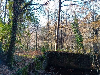 Pinheiro, Cm1416