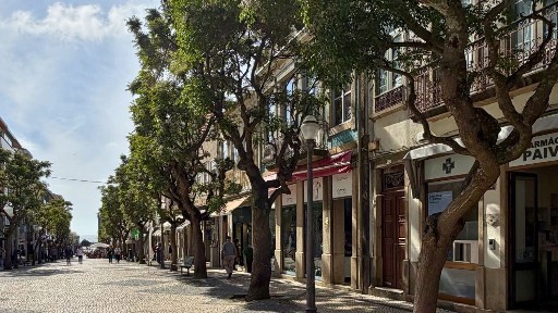 Espinho, Rua 19, 311