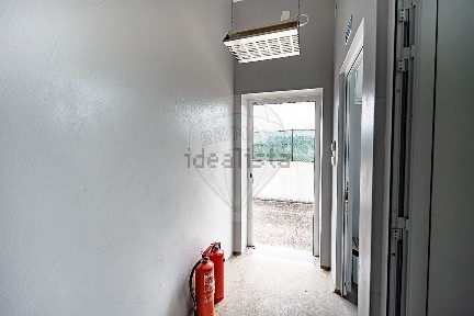 Anadia, Aveiro