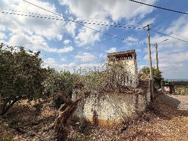 Gavião, Portalegre