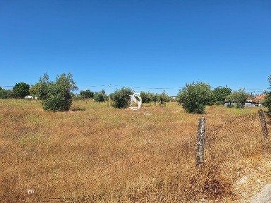 Quinta à venda em Ponte de Sor