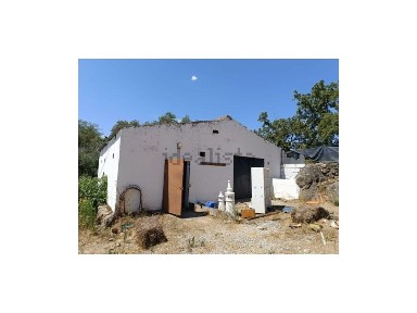 Quinta à venda em Ribeira de Nisa e Carreiras