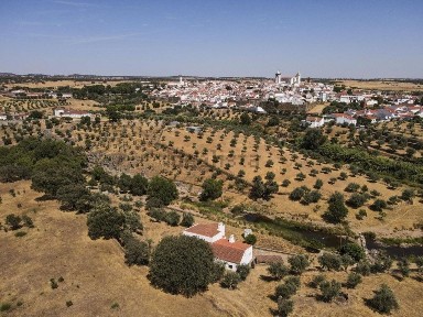 Assunção, Rua de Olivença