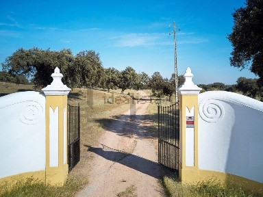 Monforte, Portalegre
