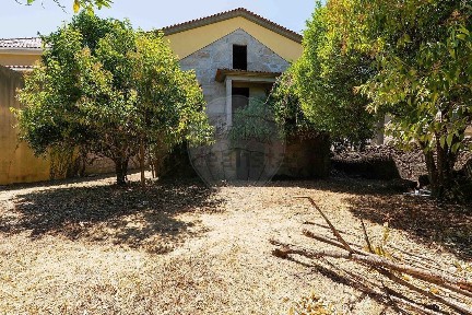 Nelas, Viseu