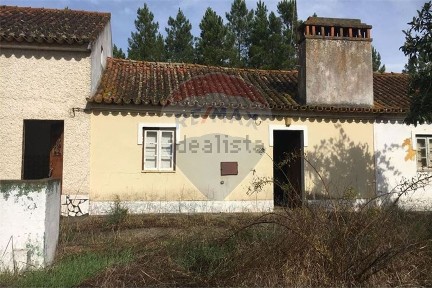 Montargil, Rua da Escola