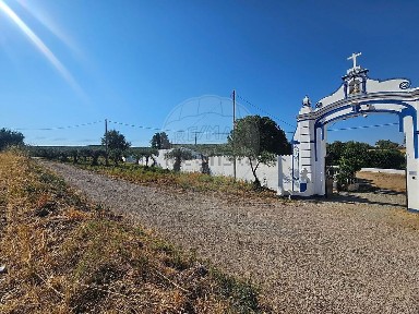 Quinta à venda em Nossa Senhora da Expectação