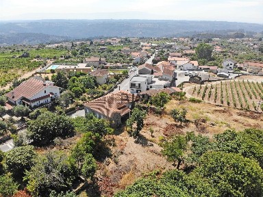 Viseu