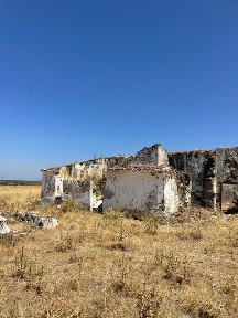 Avis, Portalegre