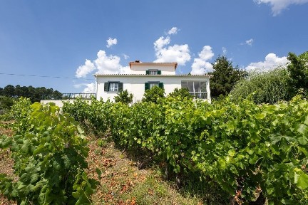 Quinta à venda em Reguengo e São Julião