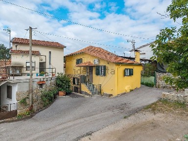 Tondela, Viseu