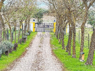 Avis, Portalegre