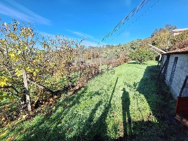 Moradia independente à venda em São Miguel do Mato