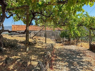 Quinta à venda em São Cristóvão de Nogueira