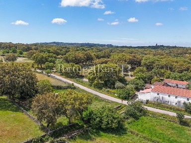 Quinta à venda em São Salvador da Aramenha