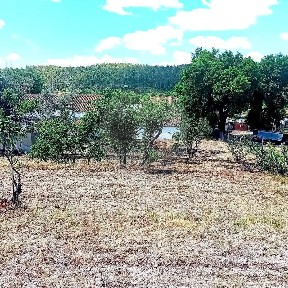 Gavião, Portalegre
