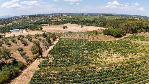 Quinta à venda em Santar