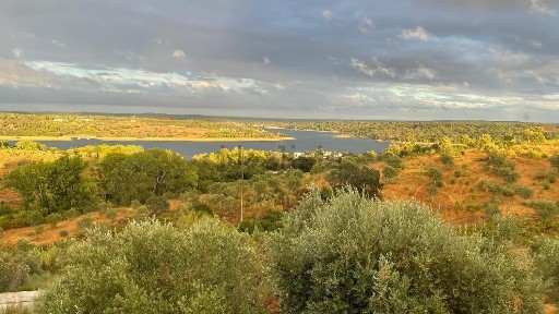 Montargil, N2, 460