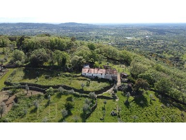 Quinta à venda em Ribeira de Nisa e Carreiras