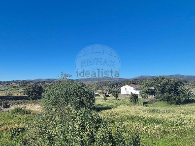 Ribeira de Nisa e Carreiras, Rua da Fonte Sapo
