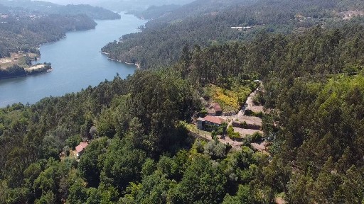 São Pedro do Sul, Viseu
