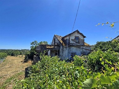 Mangualde, Viseu