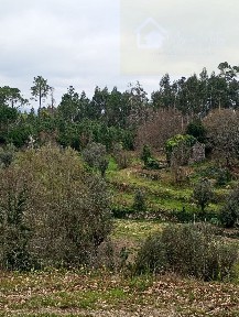 Moradia independente à venda em Mangualde
