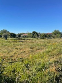 Quinta à venda em Tramaga
