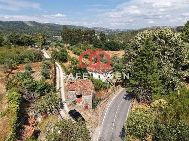 Mangualde, Viseu