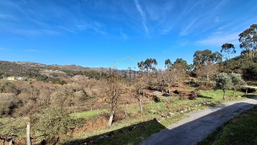 São Pedro do Sul, Viseu