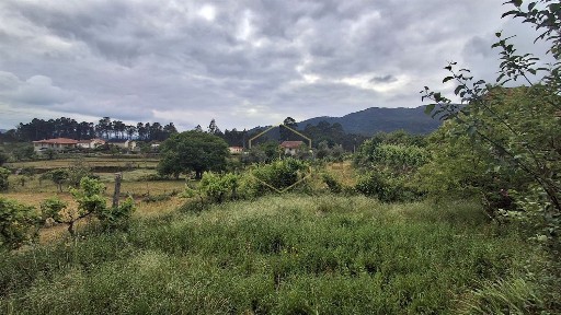 São Pedro do Sul, Viseu