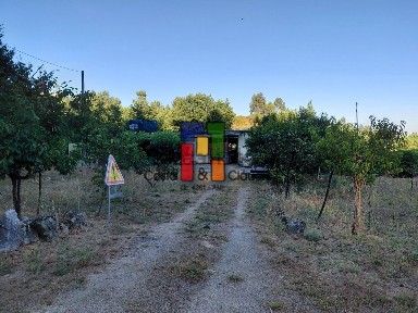 Tondela, Viseu