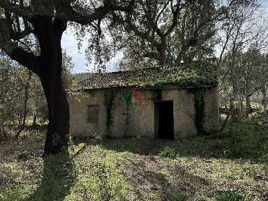 Quinta à venda em Santa Maria da Devesa