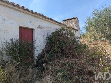 Quinta à venda em São João Batista