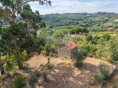 Mangualde, Viseu