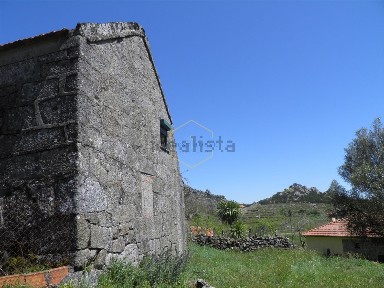 Vouzela, Viseu