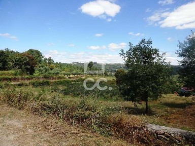 Quinta à venda em Alcafache