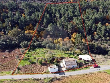 Quinta à venda em Alegrete