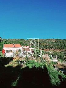 Quinta à venda em Sé e São Lourenço