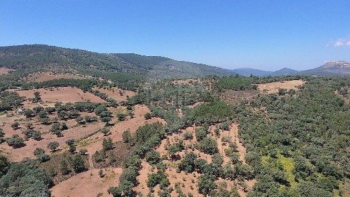 Santa Maria de Marvão, Em1088