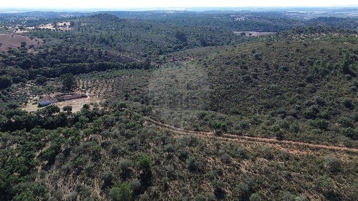 Quinta à venda em N371