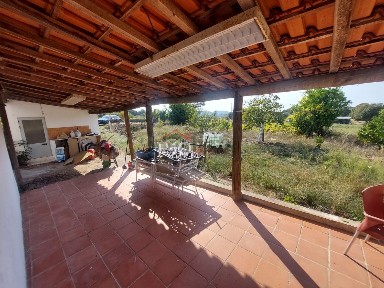 Quinta à venda em Ribeira de Nisa e Carreiras