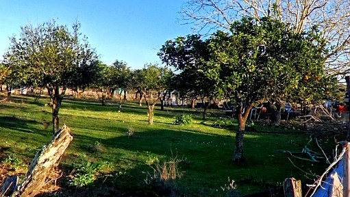 Casa ou moradia à venda em São Brás e São Lourenço
