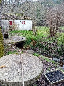 Quinta à venda em São Salvador da Aramenha