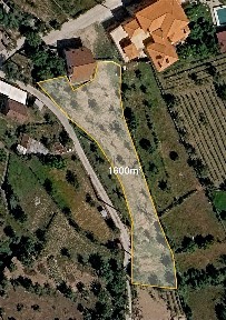 Mangualde, Viseu